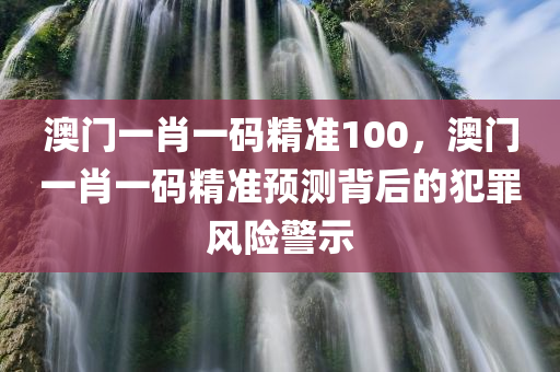 澳门一肖一码精准100，澳门一肖一码精准预测背后的犯罪风险警示