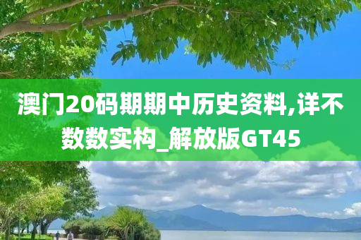 澳门20码期期中历史资料,详不数数实构_解放版GT45