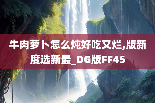 牛肉萝卜怎么炖好吃又烂,版新度选新最_DG版FF45
