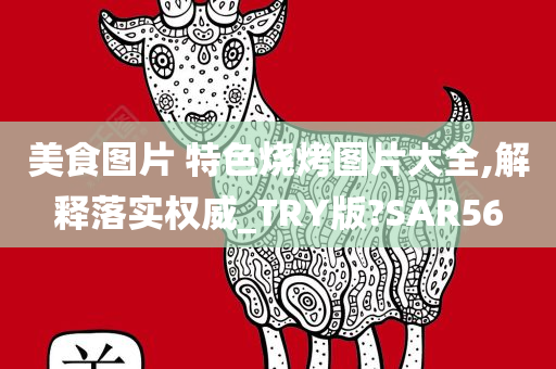 美食图片 特色烧烤图片大全,解释落实权威_TRY版?SAR56