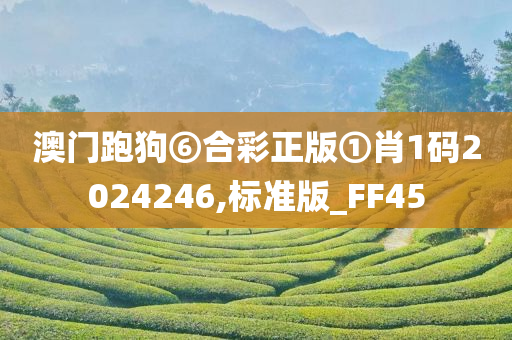 澳门跑狗⑥合彩正版①肖1码2024246,标准版_FF45