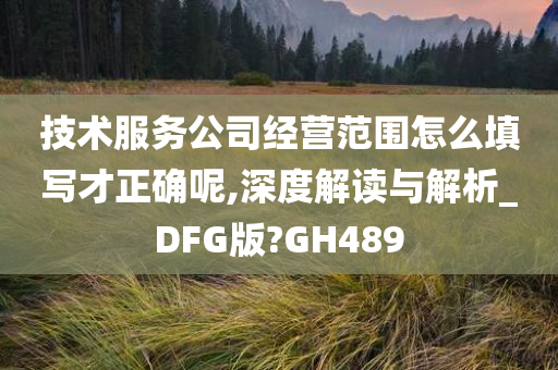 技术服务公司经营范围怎么填写才正确呢,深度解读与解析_DFG版?GH489