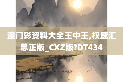王中王 第5页