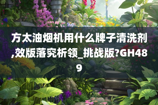 方太油烟机用什么牌子清洗剂,效版落究析领_挑战版?GH489