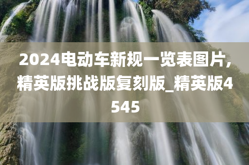 2024电动车新规一览表图片,精英版挑战版复刻版_精英版4545
