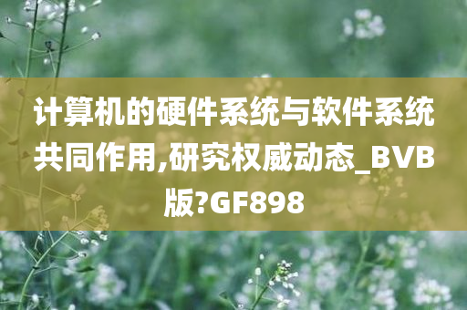 计算机的硬件系统与软件系统共同作用,研究权威动态_BVB版?GF898
