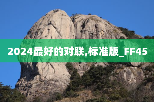 2024最好的对联,标准版_FF45