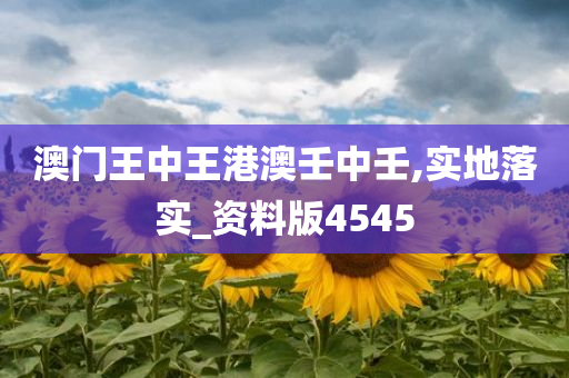 澳门 第23页