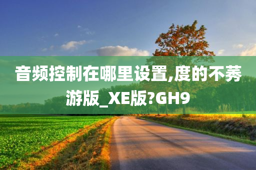 音频控制在哪里设置,度的不莠游版_XE版?GH9