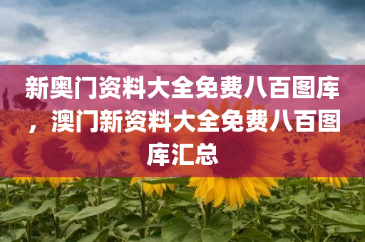 新奥门资料大全免费八百图库，澳门新资料大全免费八百图库汇总