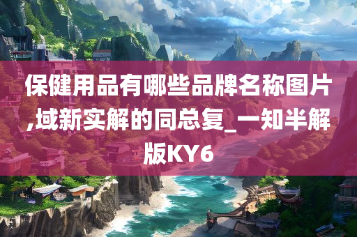 保健用品有哪些品牌名称图片,域新实解的同总复_一知半解版KY6
