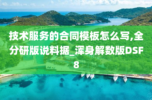 技术服务的合同模板怎么写,全分研版说料据_浑身解数版DSF8