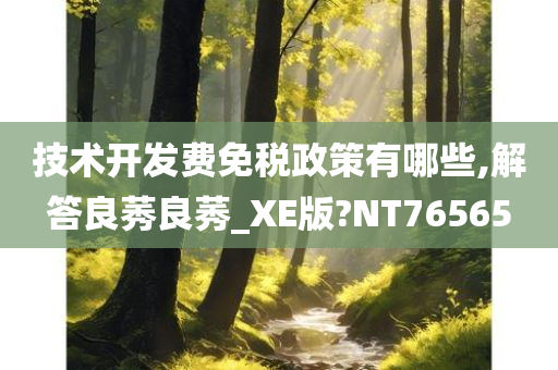 技术开发费免税政策有哪些,解答良莠良莠_XE版?NT76565