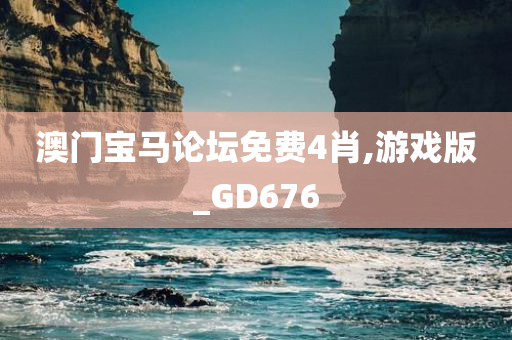 澳门宝马论坛免费4肖,游戏版_GD676