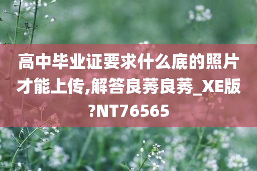 高中毕业证要求什么底的照片才能上传,解答良莠良莠_XE版?NT76565