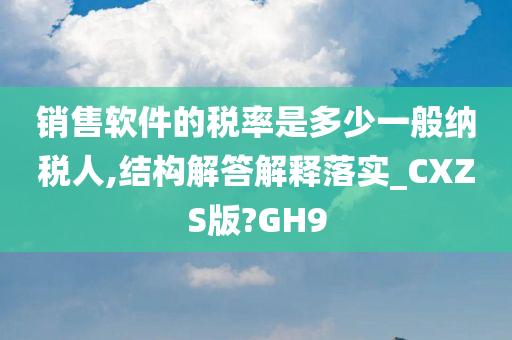 销售软件的税率是多少一般纳税人,结构解答解释落实_CXZS版?GH9