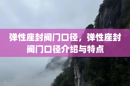 弹性座封阀门口径，今晚必出三肖2025_2025新澳门精准免费提供·精确判断弹性座封阀门口径介绍与特点