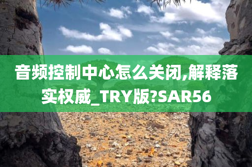 音频控制中心怎么关闭,解释落实权威_TRY版?SAR56