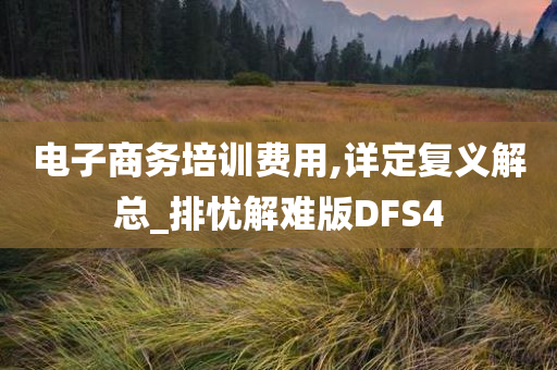 电子商务培训费用,详定复义解总_排忧解难版DFS4今晚必出三肖2025_2025新澳门精准免费提供·精确判断