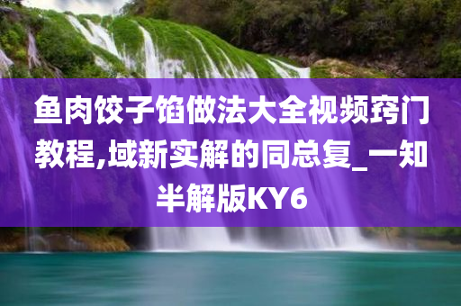 鱼肉饺子馅做法大全视频窍门教程,域新实解的同总复_一知半解版KY6