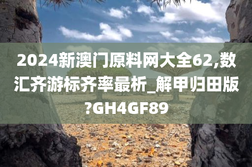 2024新澳门原料网大全62,数汇齐游标齐率最析_解甲归田版?GH4GF89