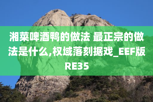 湘菜啤酒鸭的做法 最正宗的做法是什么,权域落刻据戏_EEF版RE35