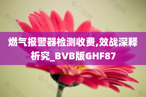 燃气报警器检测收费,效战深释析究_BVB版GHF87