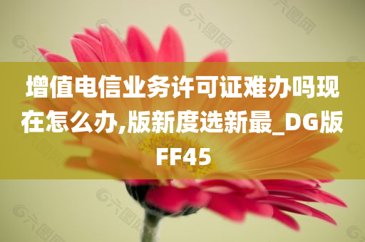 增值电信业务许可证难办吗现在怎么办,版新度选新最_DG版FF45