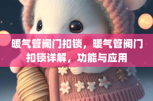 暖气管阀门扣锁