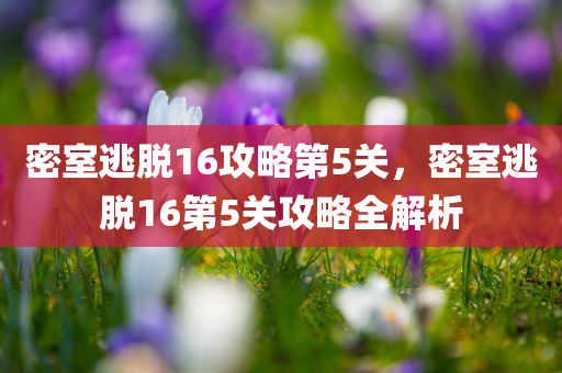 密室逃脱16攻略第5关