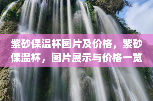 紫砂保温杯图片及价格