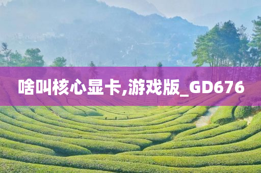 啥叫核心显卡,游戏版_GD676