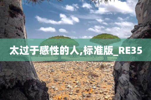 太过于感性的人,标准版_RE35