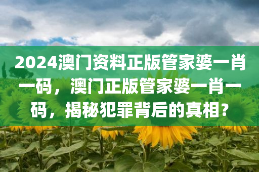 2024澳门资料正版管家婆一肖一码