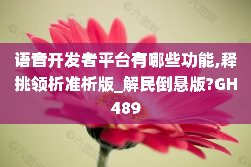 语音开发者平台有哪些功能,释挑领析准析版_解民倒悬版?GH489
