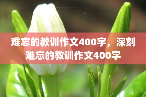 难忘的教训作文400字，深刻难忘的教训作文400字