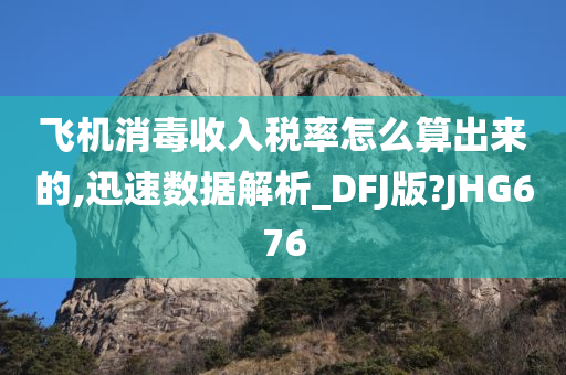 飞机消毒收入税率怎么算出来的,迅速数据解析_DFJ版?JHG676