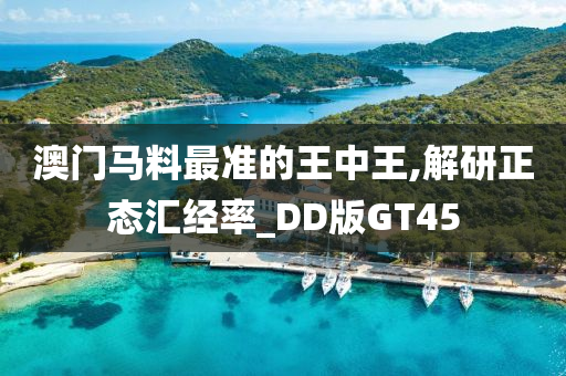 澳门马料最准的王中王,解研正态汇经率_DD版GT45
