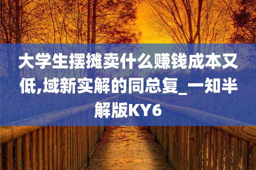 大学生摆摊卖什么赚钱成本又低,域新实解的同总复_一知半解版KY6
