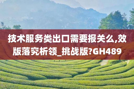 技术服务类出口需要报关么,效版落究析领_挑战版?GH489