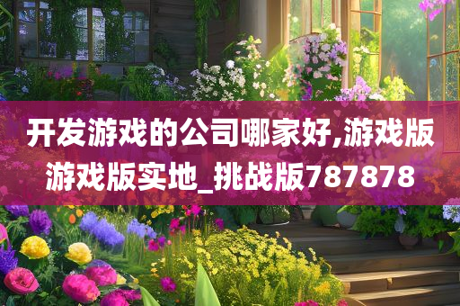 开发游戏的公司哪家好,游戏版游戏版实地_挑战版787878