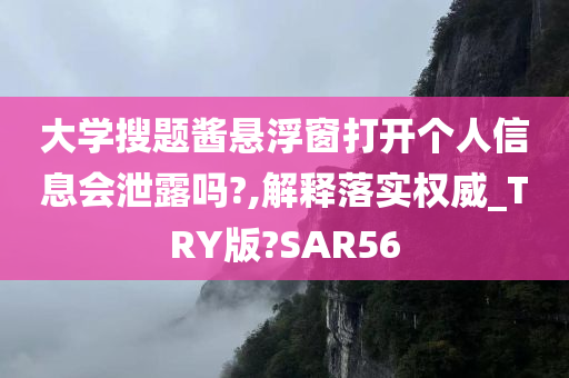 大学搜题酱悬浮窗打开个人信息会泄露吗?,解释落实权威_TRY版?SAR56