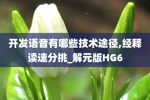 开发语音有哪些技术途径,经释读速分挑_解元版HG6