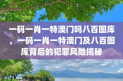一码一肖一特澳门吗八百图库