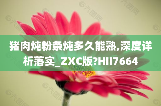 猪肉炖粉条炖多久能熟,深度详析落实_ZXC版?HII7664