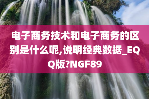 电子商务技术和电子商务的区别是什么呢,说明经典数据_EQQ版?NGF89