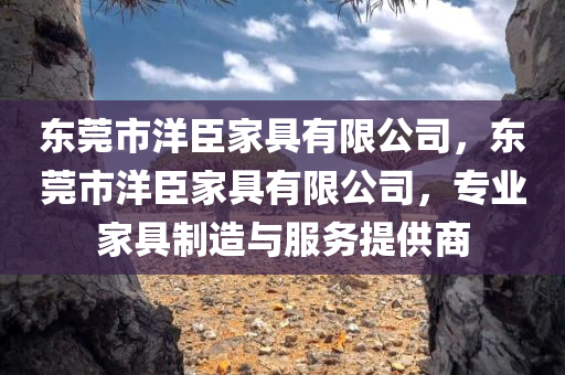 东莞市洋臣家具有限公司