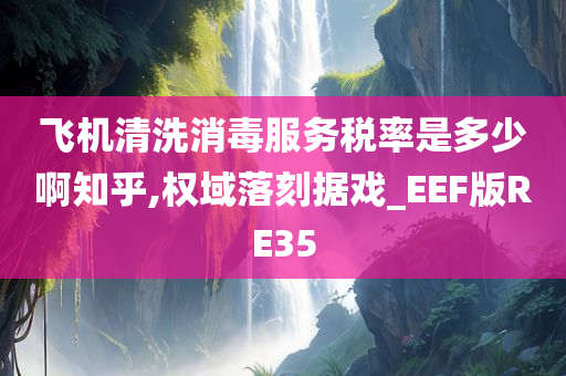 飞机清洗消毒服务税率是多少啊知乎,权域落刻据戏_EEF版RE35