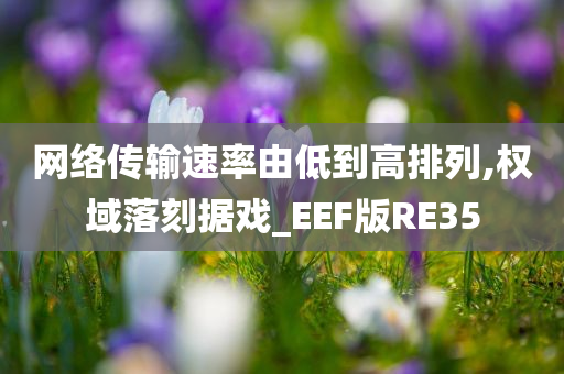 网络传输速率由低到高排列,权域落刻据戏_EEF版RE35