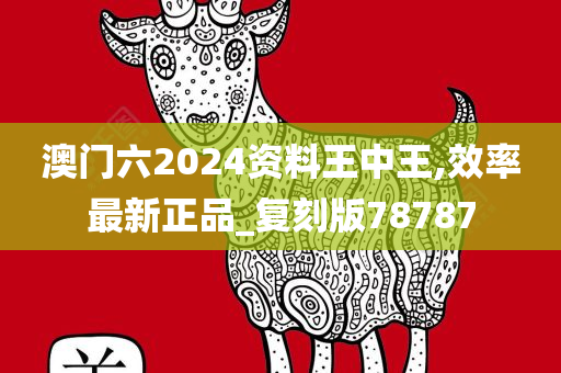 澳门六2024资料王中王,效率最新正品_复刻版78787